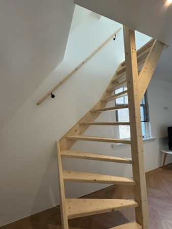 IMG_9021 2 Medium.jpeg